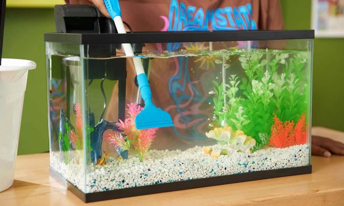 How Do I Clean My Fish Tank Without Changing The Water?