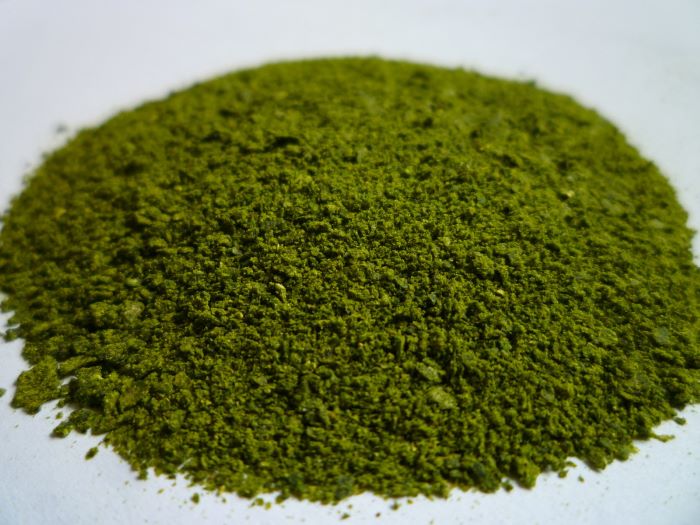 how-to-make-natural-fish-food-2